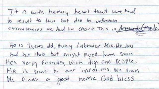 Arizona Shelter Staff Stunned After Finding Dog Tied in Lot with Heartbreaking Letter