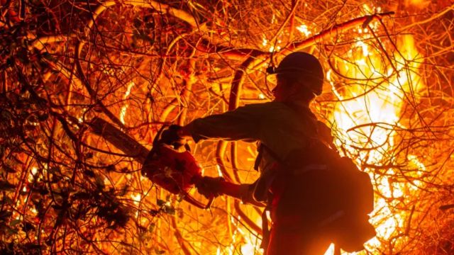 California Firefighters Gain Ground with Calmer Winds as Death Toll Climbs to 24