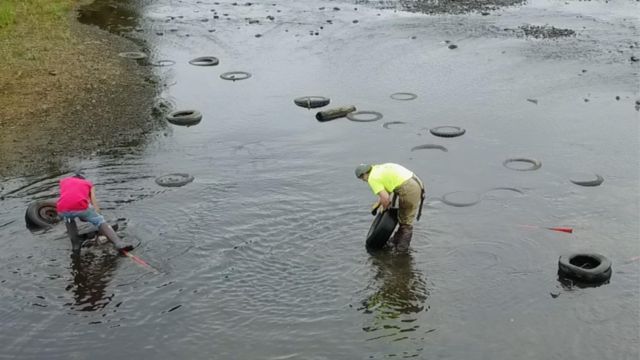 New Jersey Company’s Clean Water Act Violations Led to Over 150 Fish Being Killed in Connecticut