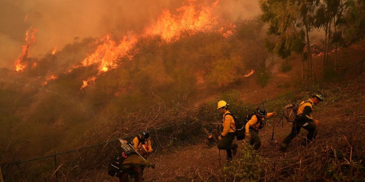 Death Toll from California Wildfires Climbs to 16, According to LA Medical Examiner