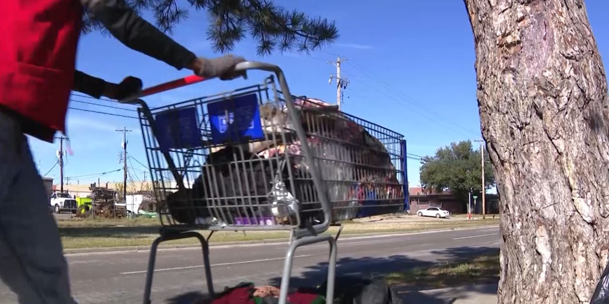 Oklahoma Bill Seeks Jail Time for Those Who Possess Shopping Carts From Businesses