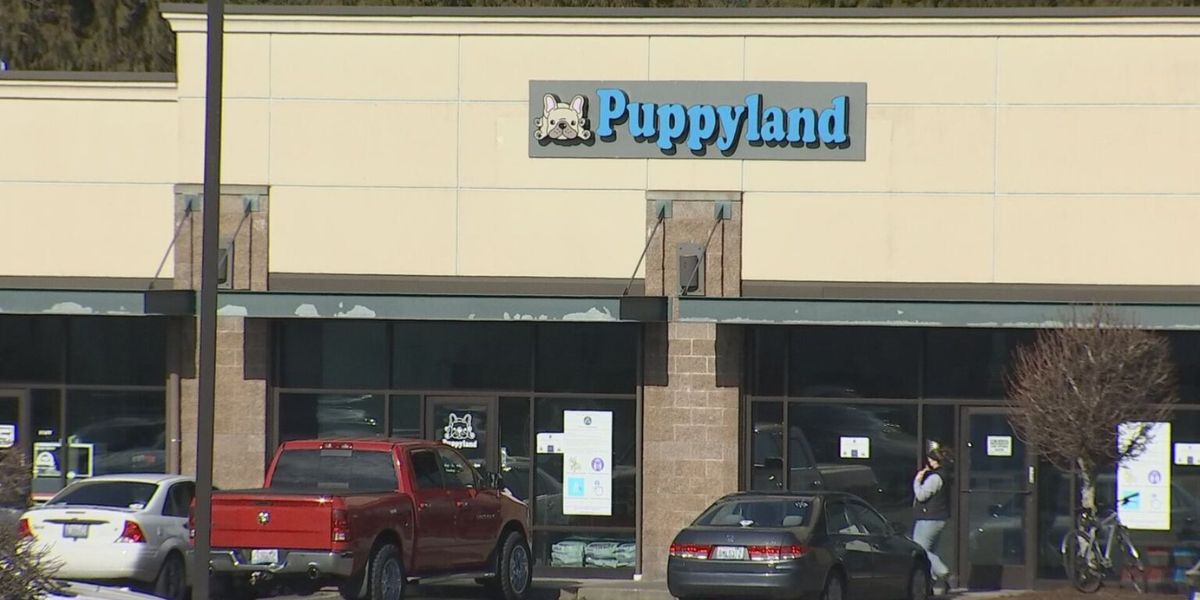 Puppyland Fined $3.75 Million for Selling Sick Puppies and Engaging in Predatory Loan Practices