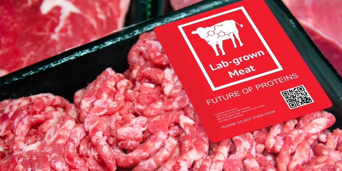 Nebraska's Push to Ban Cultivated Meat Continues Amid Growing Debate