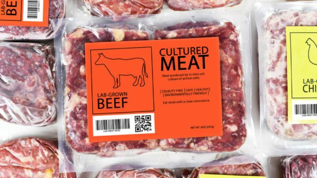 Nebraska's Push to Ban Cultivated Meat Continues Amid Growing Debate