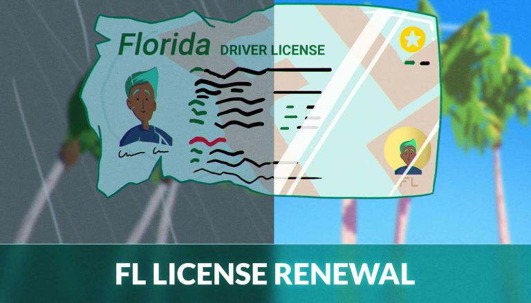 Driver’s License Renewals in Florida Latest Requirements and Rules for Drivers