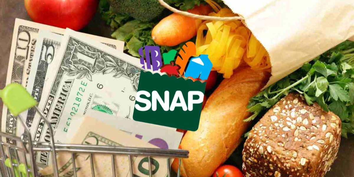 Final Call for SNAP Recertification: Renew Before February 2025 Deadline to Keep Your Benefits