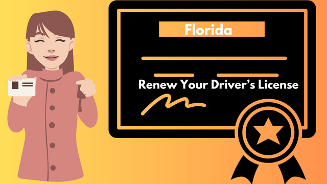 How to Renew Your Driver’s License in Florida: What You Need to Know