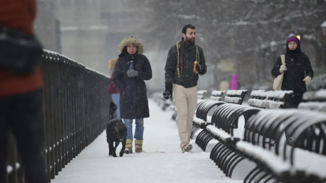 NY Braces for a Bone-Chilling Weekend with Up to 5 Inches of Snow