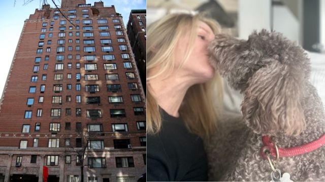 NYC Couple Sues After Being Bitten by Co-Op Prez’s Unleashed Dog in Swanky Manhattan Pad