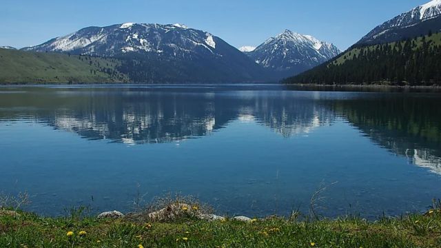 These Oregon Lakes Are So Snake-Infested, You’ll Never Look at Water the Same