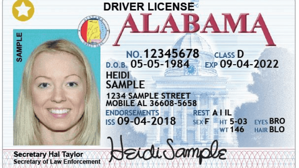 Everything You Need to Renew Your Alabama Driver’s License in 2025