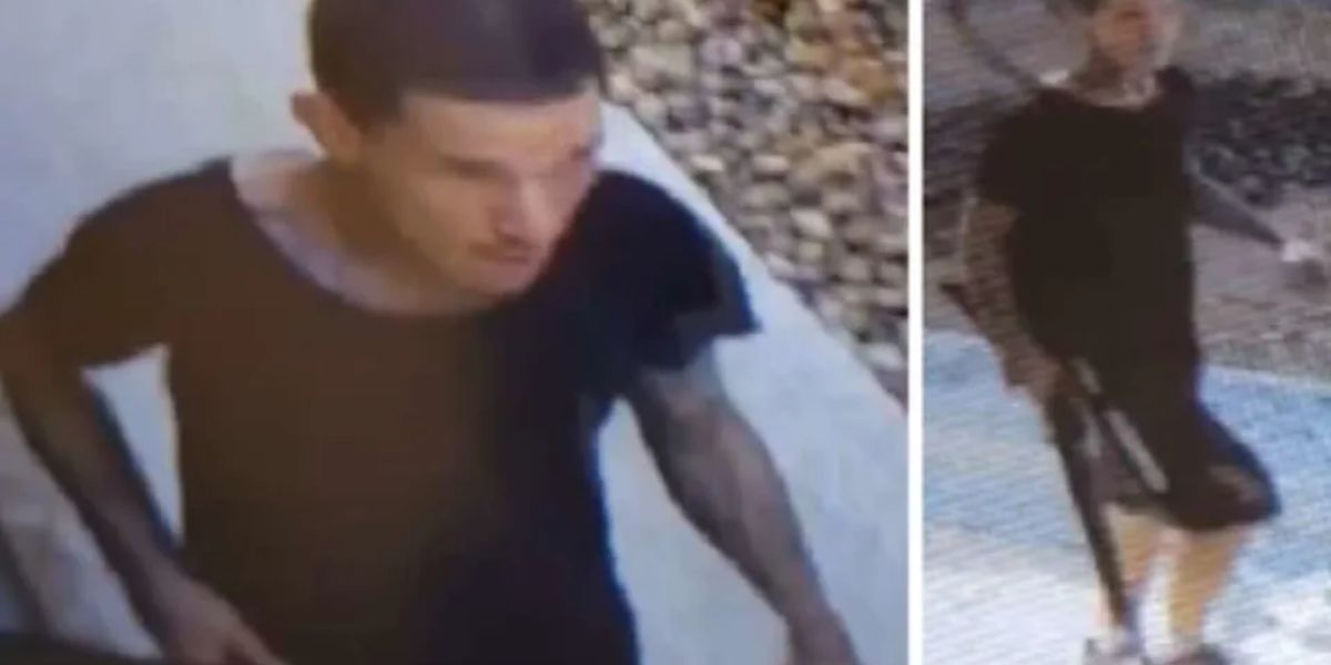Man Accused of Threatening Woman With Rifle During Robbery and Attempted Carjacking