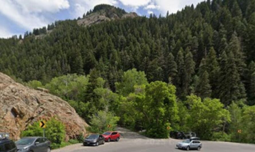 Two Children Found in Critical Condition After Family Goes Missing on Utah Hike